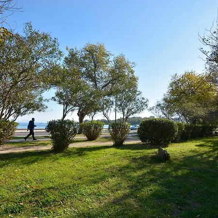 Anemomilos Casa Ideale 1st Floor Corfu (city)